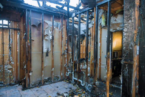 Professional Fire Damage Removal technician working in Magnolia, NJ