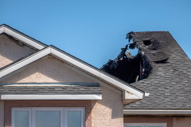 Top rated local Fire Damage Removal specialists in Magnolia, NJ